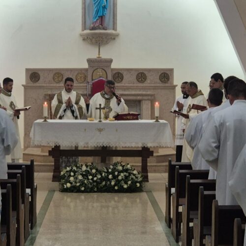 Imagem: Comunicação da Diocese de Osasco